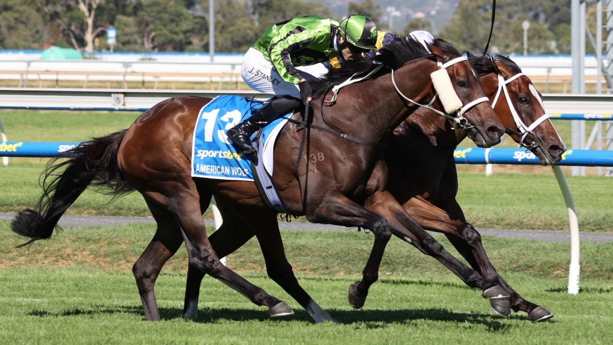 Geoff Lynch Racing CUP DRAMA AS AMERICAN WOLF GRABS THE GLORY by Michael Lynch - Peter ...